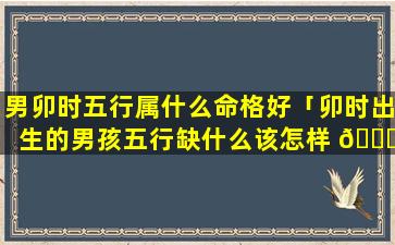 男卯时五行属什么命格好「卯时出生的男孩五行缺什么该怎样 🐒 取名」